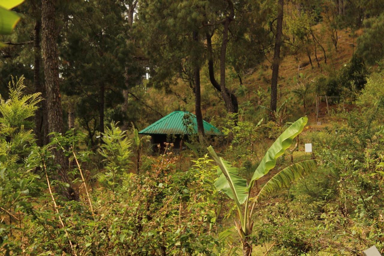 Heal Farm - Himalayan Eco Alternative Lifestyle For Agriculture Recreation And Meditation Nainital Exterior foto